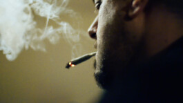 DINO FRANCO BERGUGLIA