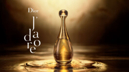 DINO FRANCO BERGUGLIA