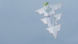 DINO FRANCO BERGUGLIA