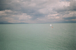 DINO FRANCO BERGUGLIA