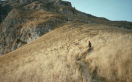 DINO FRANCO BERGUGLIA