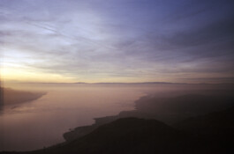 DINO FRANCO BERGUGLIA