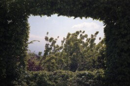 DINO FRANCO BERGUGLIA