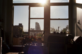 DINO FRANCO BERGUGLIA