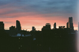 DINO FRANCO BERGUGLIA