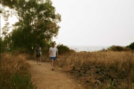 DINO FRANCO BERGUGLIA