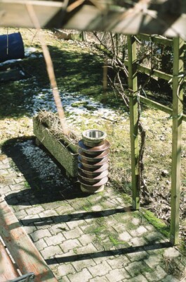 DINO FRANCO BERGUGLIA