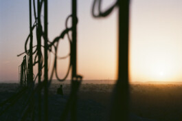 DINO FRANCO BERGUGLIA