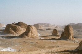 DINO FRANCO BERGUGLIA