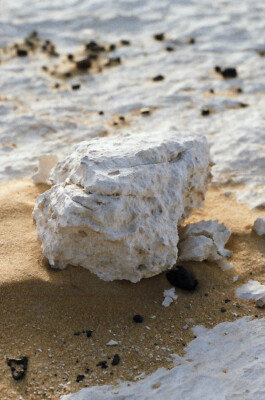 DINO FRANCO BERGUGLIA