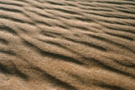 DINO FRANCO BERGUGLIA