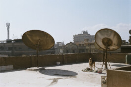 DINO FRANCO BERGUGLIA