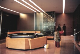 DINO FRANCO BERGUGLIA