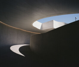 DINO FRANCO BERGUGLIA