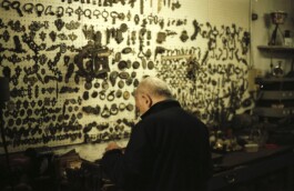 DINO FRANCO BERGUGLIA