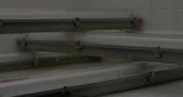 DINO FRANCO BERGUGLIA