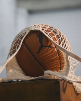 DINO FRANCO BERGUGLIA