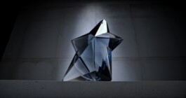 DINO FRANCO BERGUGLIA