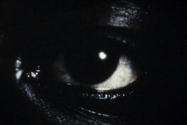 DINO FRANCO BERGUGLIA