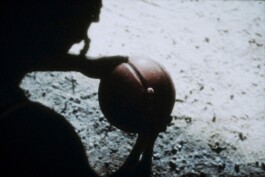 DINO FRANCO BERGUGLIA