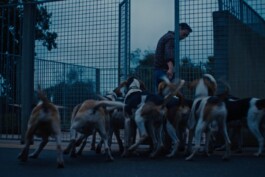 DINO FRANCO BERGUGLIA