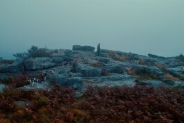 DINO FRANCO BERGUGLIA