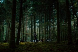 DINO FRANCO BERGUGLIA