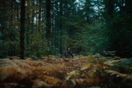 DINO FRANCO BERGUGLIA